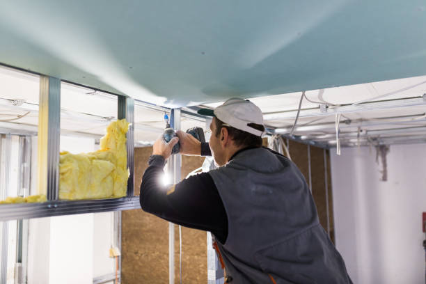 Best Commercial Insulation in Loyal, WI