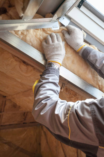 Best Insulation Installation Services in Loyal, WI