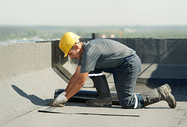 Best Insulation Materials and Products in Loyal, WI